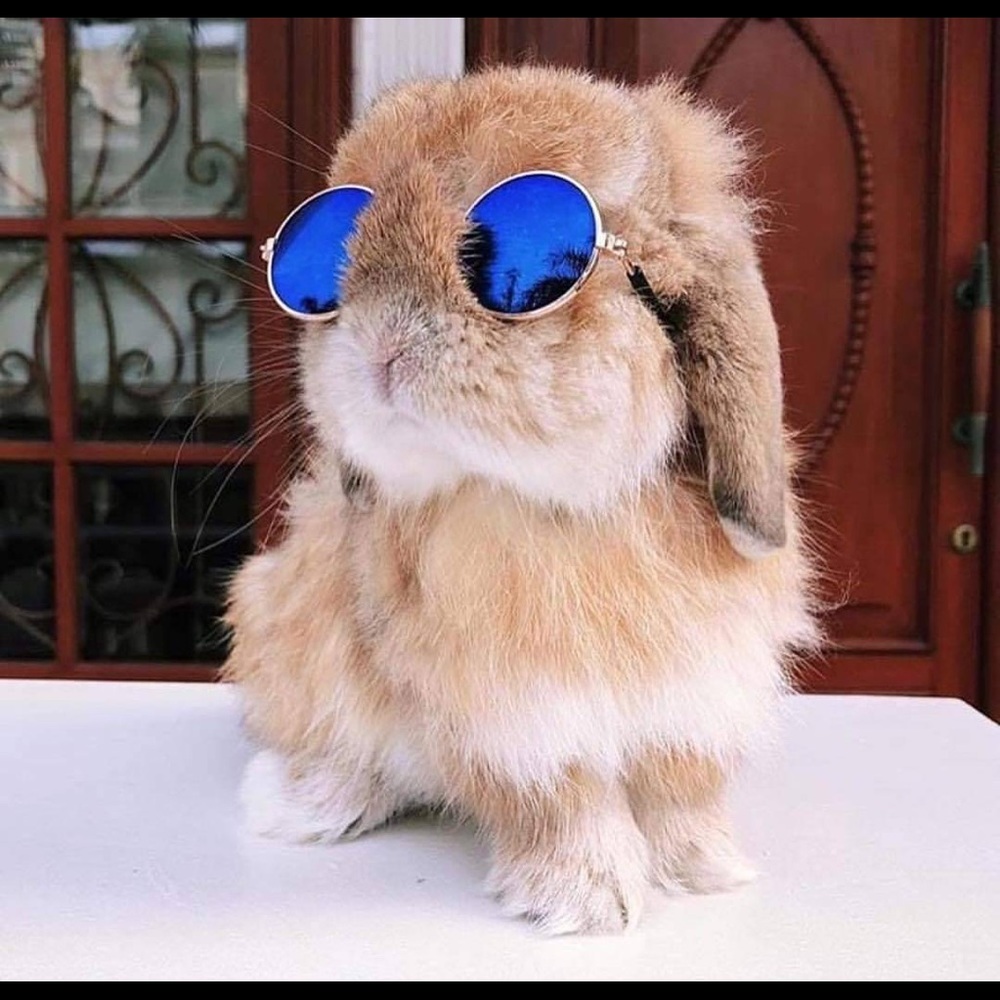 Meet your Posher, via